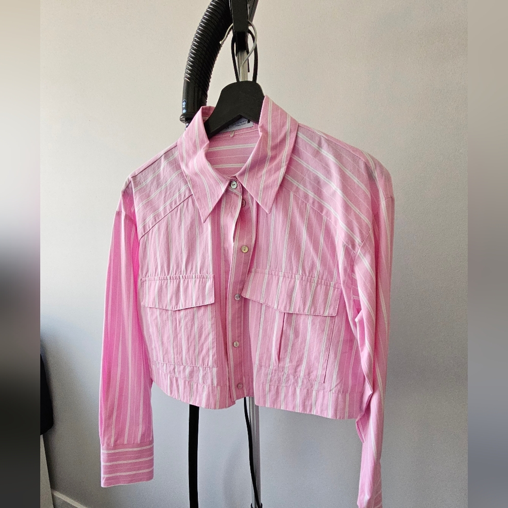 Zara Pink Striped Button-Up Shirt
